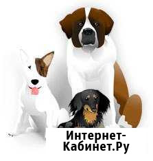 Зооняня.Помощь по хозяйству Гостилицы - изображение 1