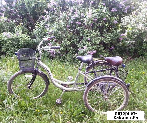 Велосипед трёхколёсный 3 скорости Вознесенское - изображение 1