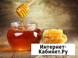 Мед Щёлково - изображение 1