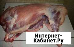 Мясо баранина Череповец - изображение 1