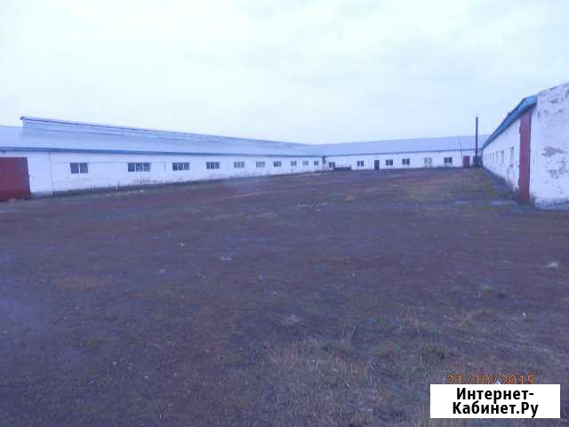 Ферма под крупно рогатый скот, 2000 кв.м. Благовещенка - изображение 1