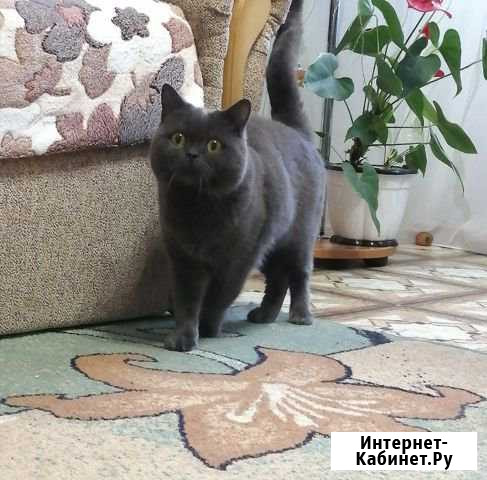 Вязка Сим - изображение 1