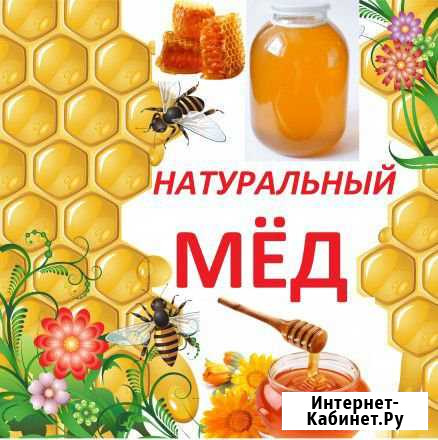 Мёд луговой, 3 литра Старый Оскол - изображение 1