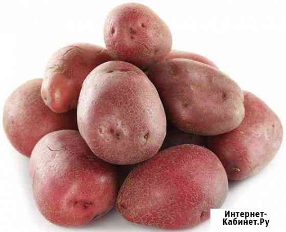 Картофель семенной и на еду Чита
