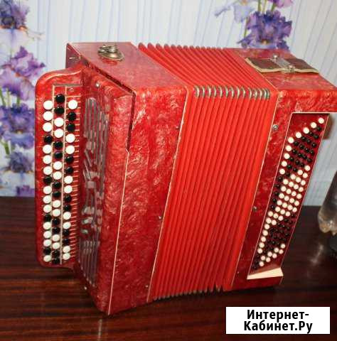 Баян Тульский Златоуст - изображение 1
