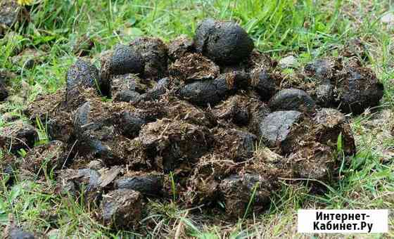 Конский навоз Нижний Новгород