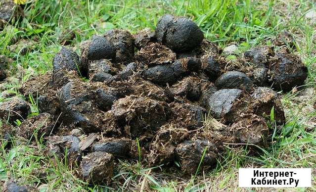 Конский навоз Нижний Новгород - изображение 1