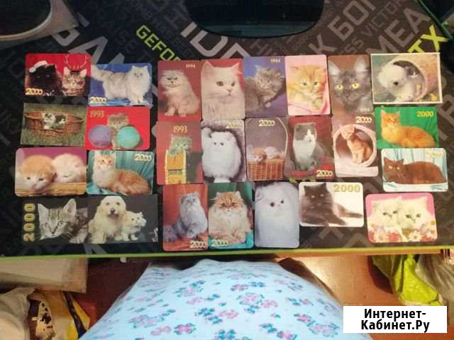 Календарики с кошками и собаками Великий Новгород - изображение 1