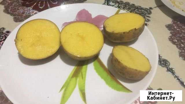 Картофель Бабынинский. Вкусный/Капуста на засолку Калуга - изображение 1
