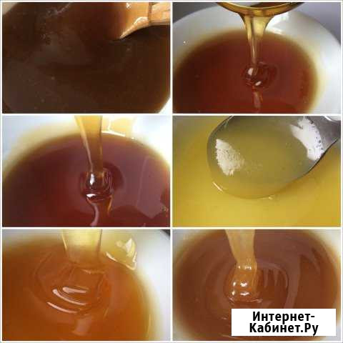 Алтайский качественный мёд урожай 2019 г Бийск - изображение 1