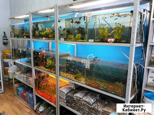 Рыбки(На Янгеля) Братск - изображение 1