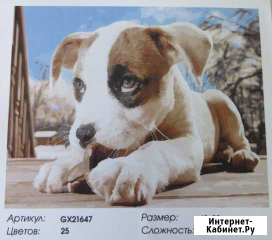 Картины по номерам щенок Архангельск - изображение 1