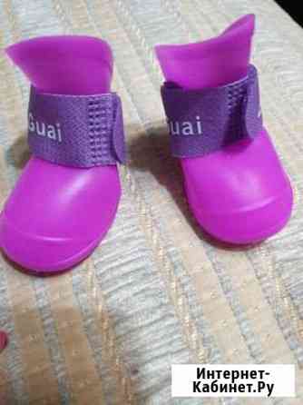 Новые резиновые сапожки для собак или кошек Дзержинск