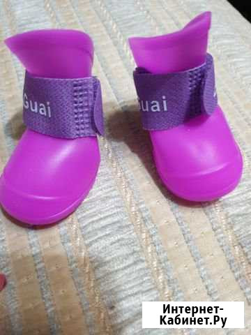 Новые резиновые сапожки для собак или кошек Дзержинск - изображение 1