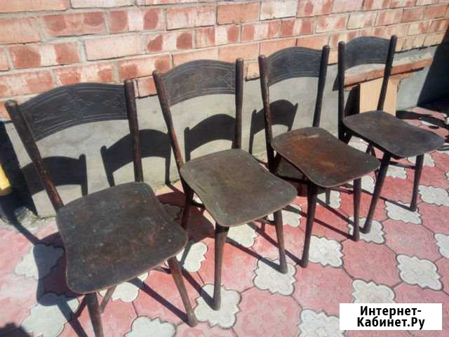 Стул венский Вологда - изображение 1