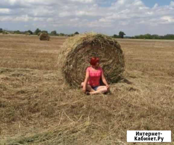 Сено Лаишево - изображение 1