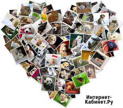 Фотоколлаж фотошоп fotoshop Нижний Новгород