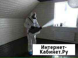 Уничтожение насекомых всех видов Новокуйбышевск