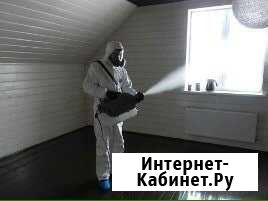 Уничтожение насекомых всех видов Новокуйбышевск - изображение 1