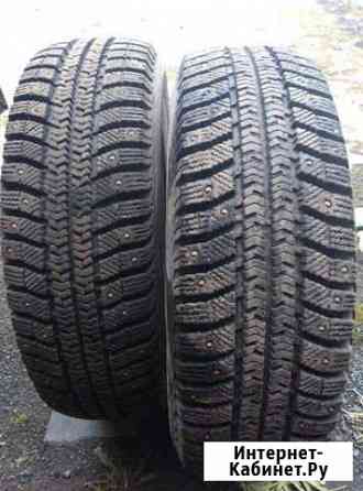 Шины зимние Петрозаводск