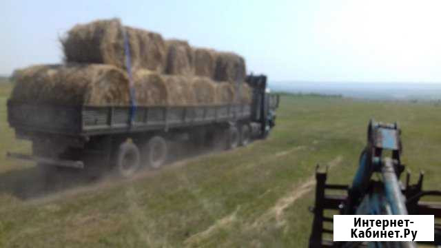 Сено большие рулоны Саяногорск - изображение 1