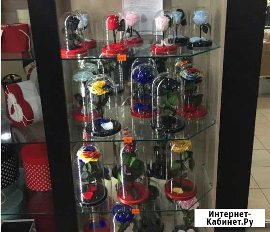 Розы в колбе. Кемерово. Premium Кемерово - изображение 1