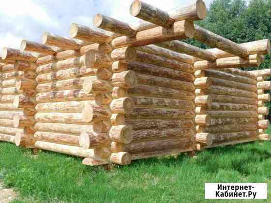 Дикий сруб Тверь