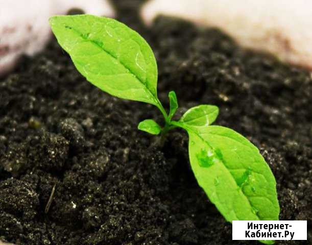Биогумус с доставкой по России Матвеев-Курган - изображение 1