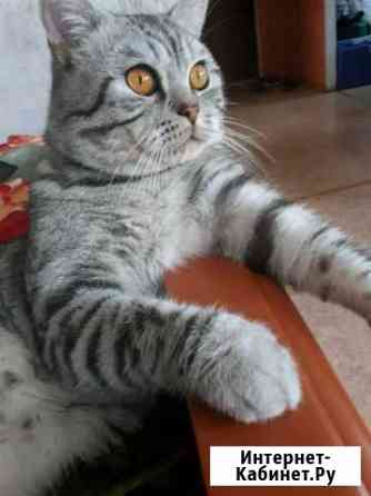 Вязка Благовещенск