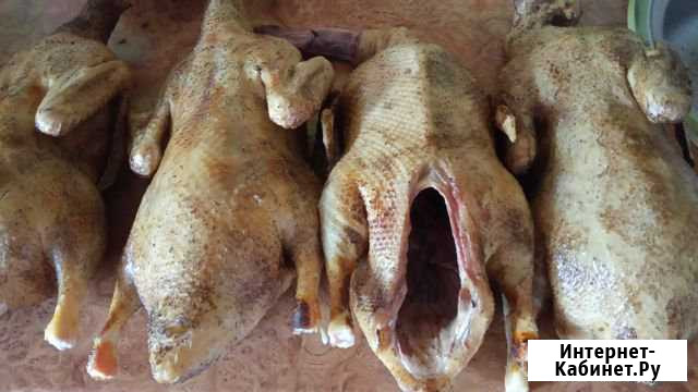 Мясо уток Викулово - изображение 1