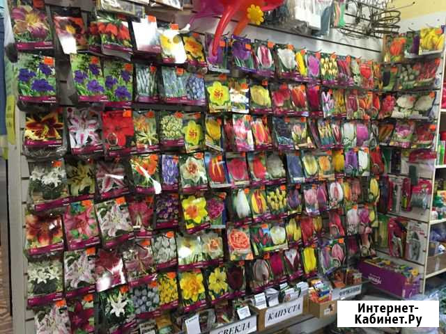 Семена, луковичные цветы, лук севок, чеснок на пос Брянск - изображение 1