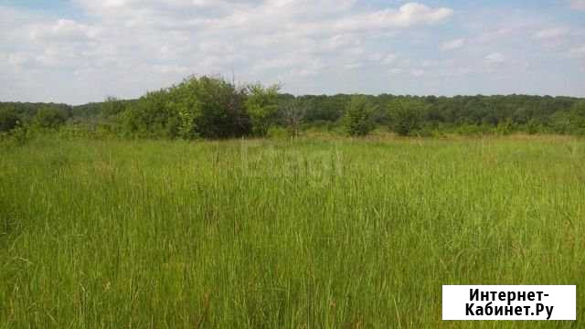 Участок 10 сот. (ИЖС) Воронеж - изображение 1