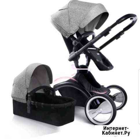 Коляска BabySing 2в1 360 Свободный