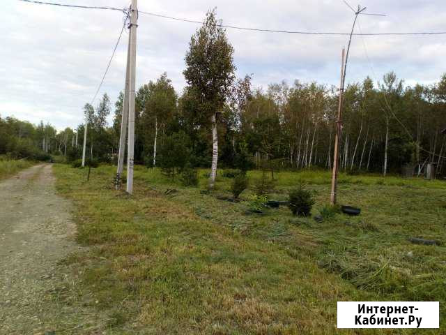 Участок 15 сот. (ИЖС) Восточное - изображение 1