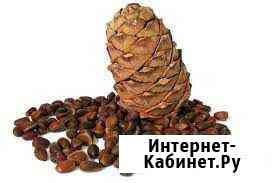 Шишка кедровая, орех Прокопьевск