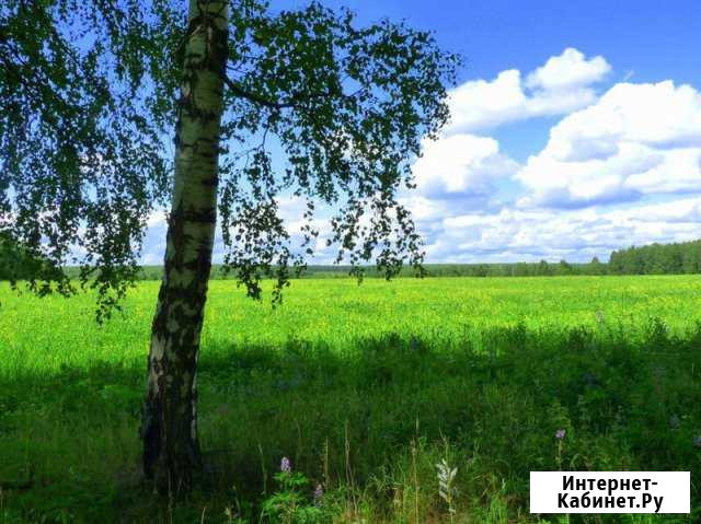 Участок 28 га (СНТ, ДНП) Струнино - изображение 1
