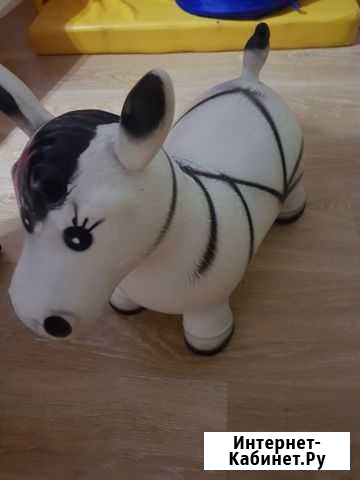 Прыгуны Чита - изображение 1