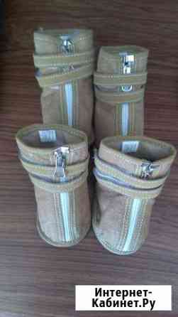 Сапожки Сургут