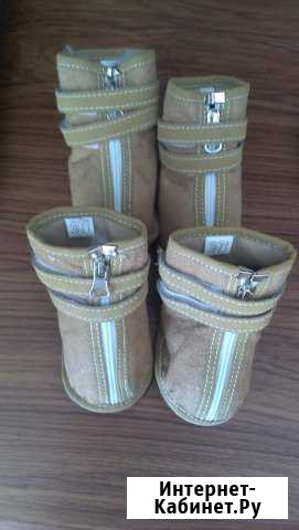 Сапожки Сургут - изображение 1