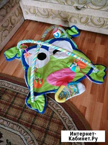 Развивающий коврик Петропавловск-Камчатский - изображение 1