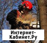 Спил деревьев Невинномысск - изображение 1