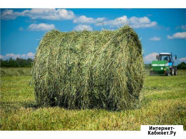 Сено в рулонах Корткерос - изображение 1