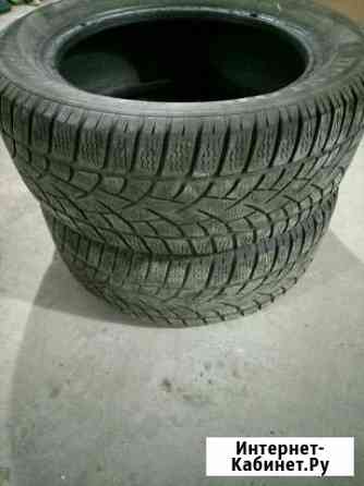 Dunlop sp winter sport 225/55/17 Павлово