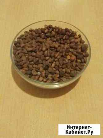 Орех кедровый Москва