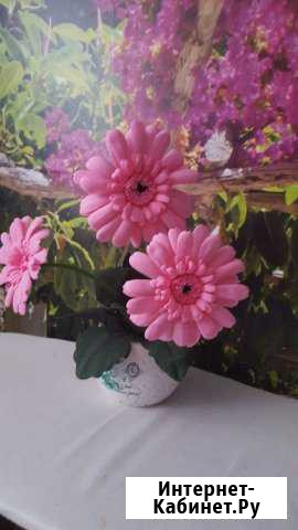 Гербера всегда цветущая Тюмень - изображение 1