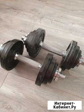 Гантели Омск - изображение 1