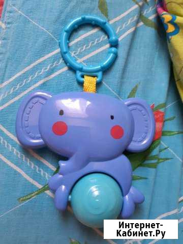 Слон Ставрополь - изображение 1