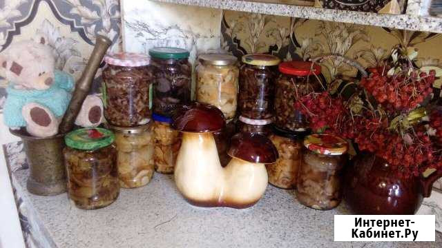 Грибы Краснодар - изображение 1