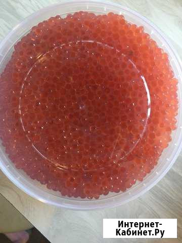 Икра красная 2100 Хабаровск - изображение 1