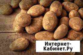 Картофель Благовещенск
